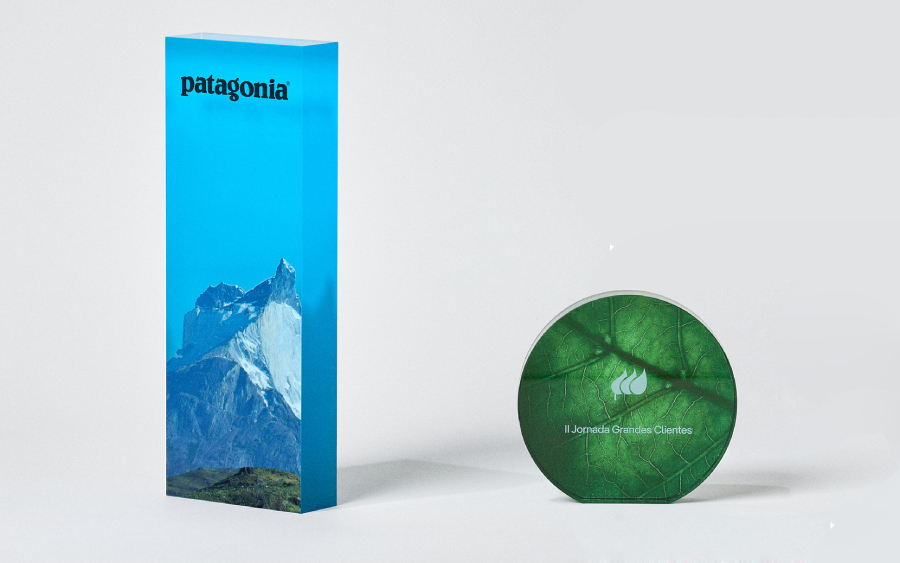 Trophée en plexiglas et plaque de reconnaissance en plexiglas personnalisés Sustain Awards